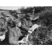 Пуговица Войска Польского, обр. 1943 г., Вариант В, диаметр 22 мм., Хаки.